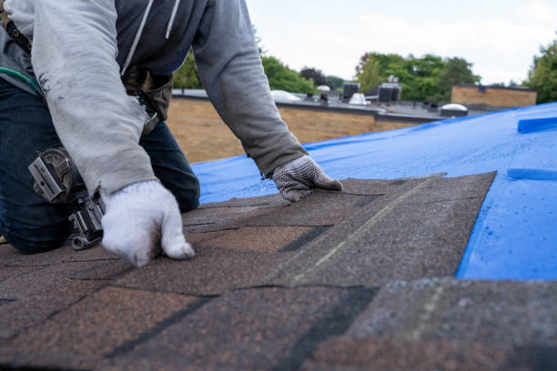 Best Storm Damage Roof Repair  in Shelburne Falls, MA
